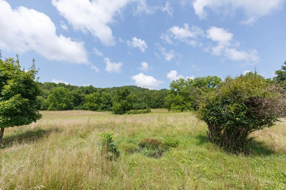 Decorative background for Rolling Hills Tract 18 image 16