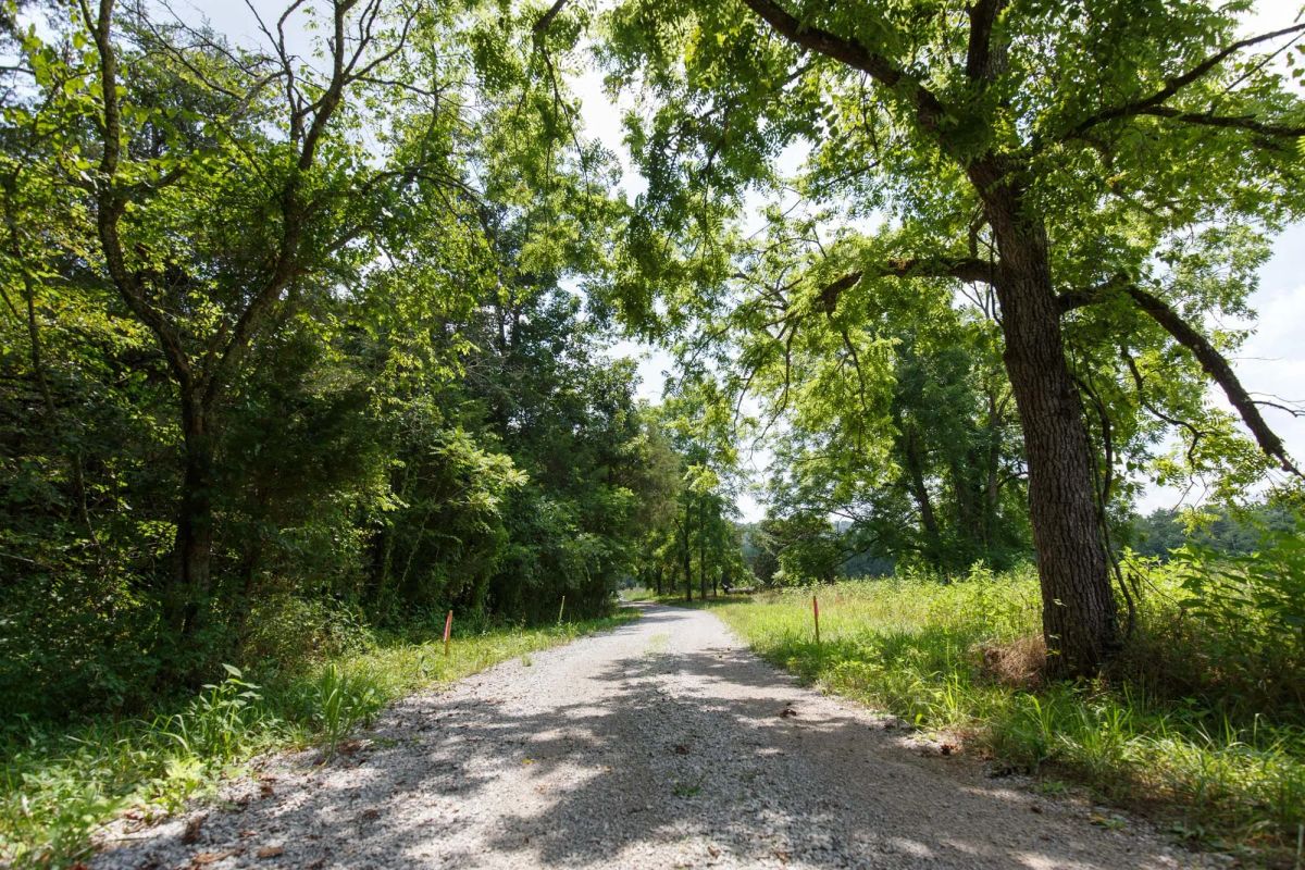Decorative background for Rolling Hills Tract 18 image 17