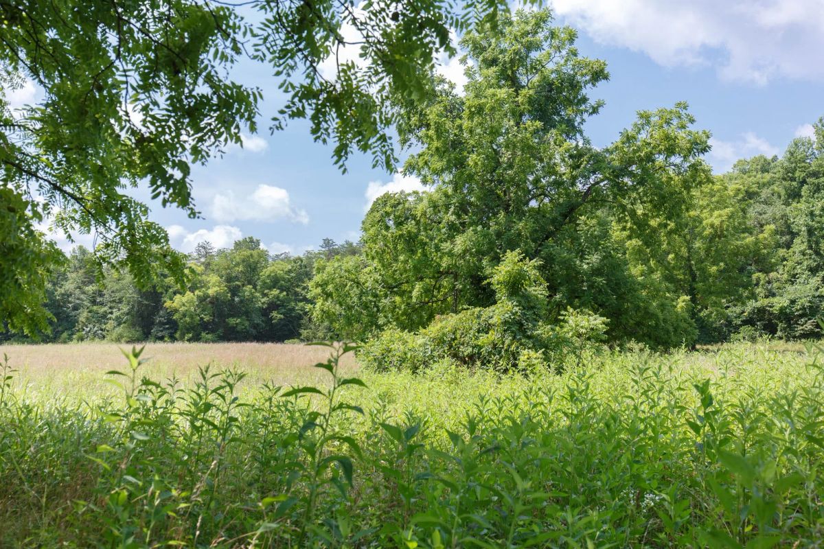Decorative background for Rolling Hills Tract 18 image 18