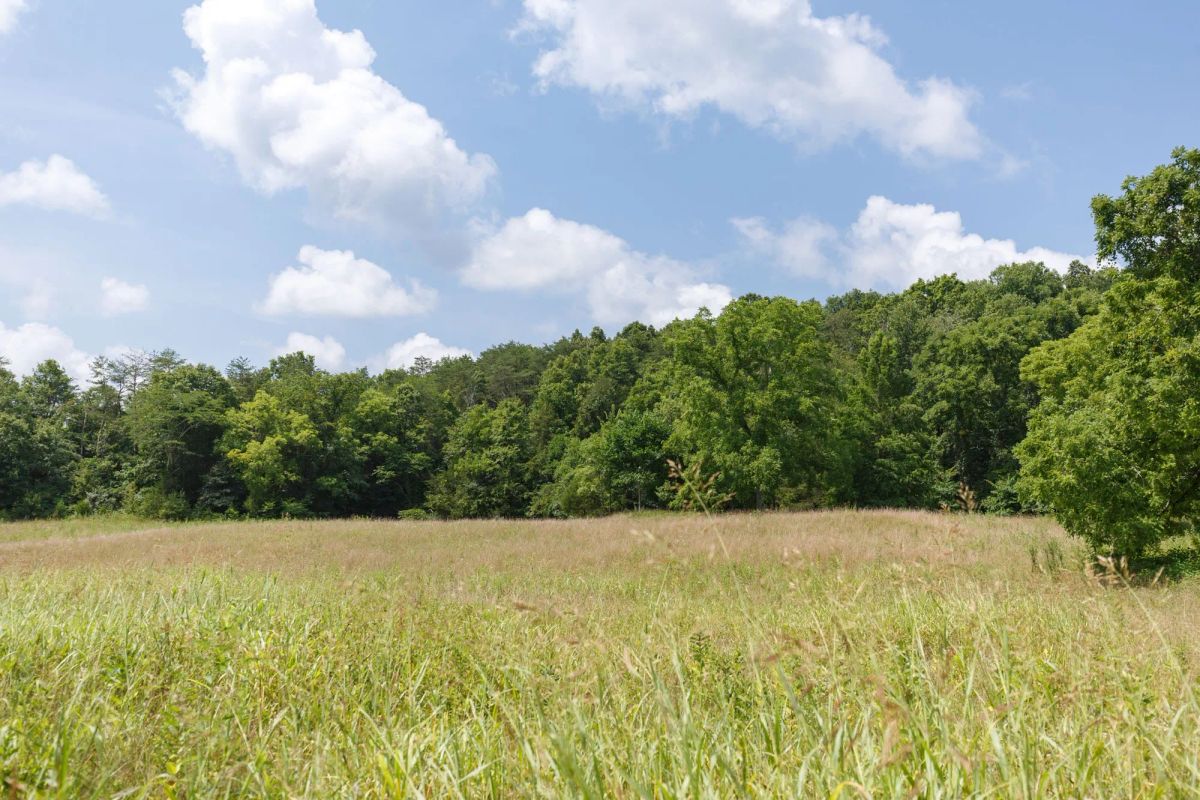 Decorative background for Rolling Hills Tract 18 image 19