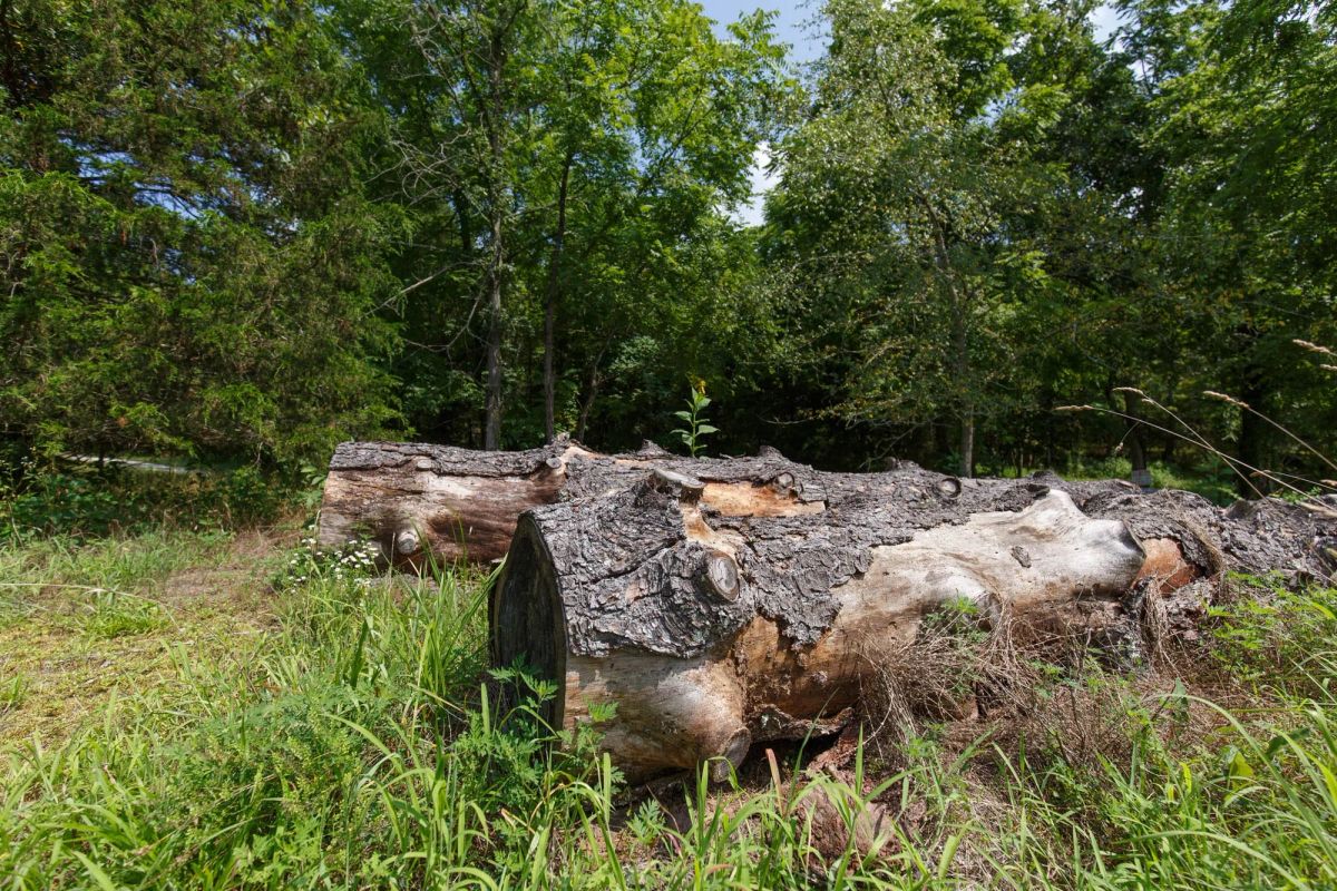 Decorative background for Rolling Hills Tract 18 image 20
