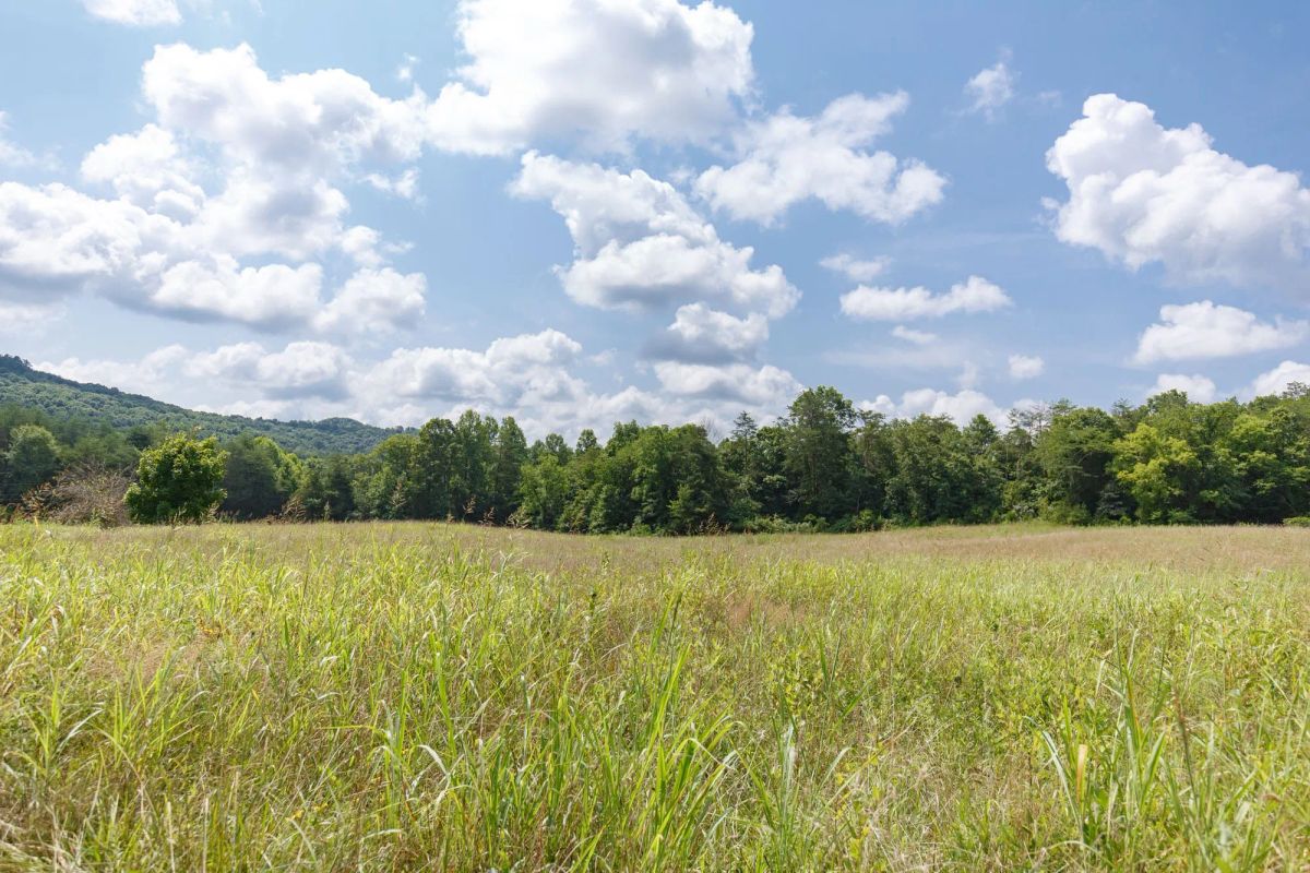 Decorative background for Rolling Hills Tract 18 image 21