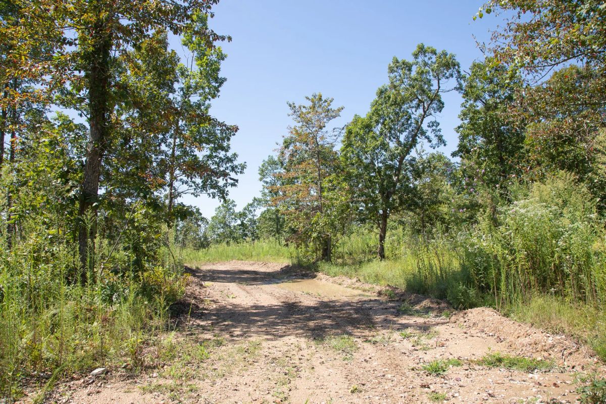Borgmann’s Hollow Phase III Tract 73 - Main image
