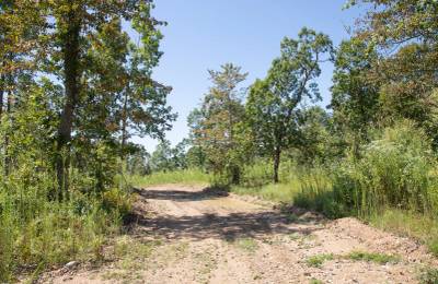 Borgmann’s Hollow Phase III Tract 73