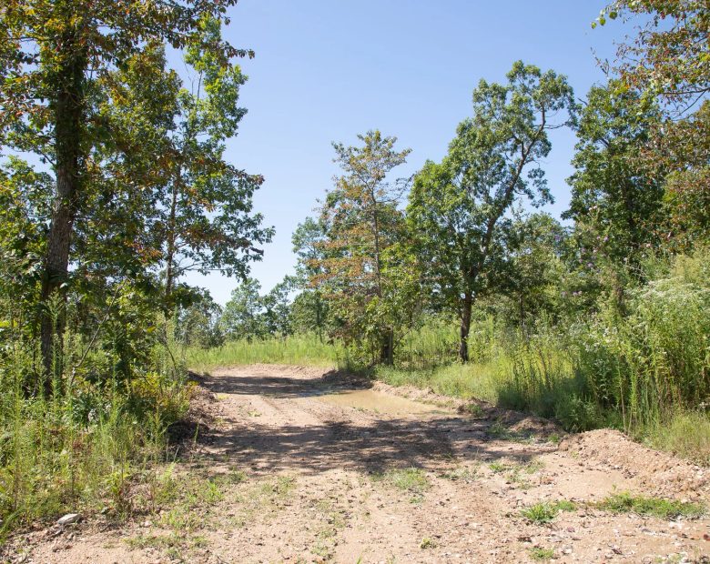 Borgmann’s Hollow Phase III Tract 73 in Shannon County, MO