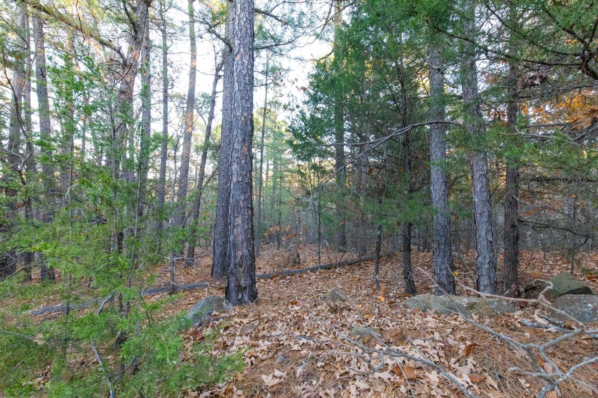 Stone Bridge Phase II Tract 116 in Latimer County, OK