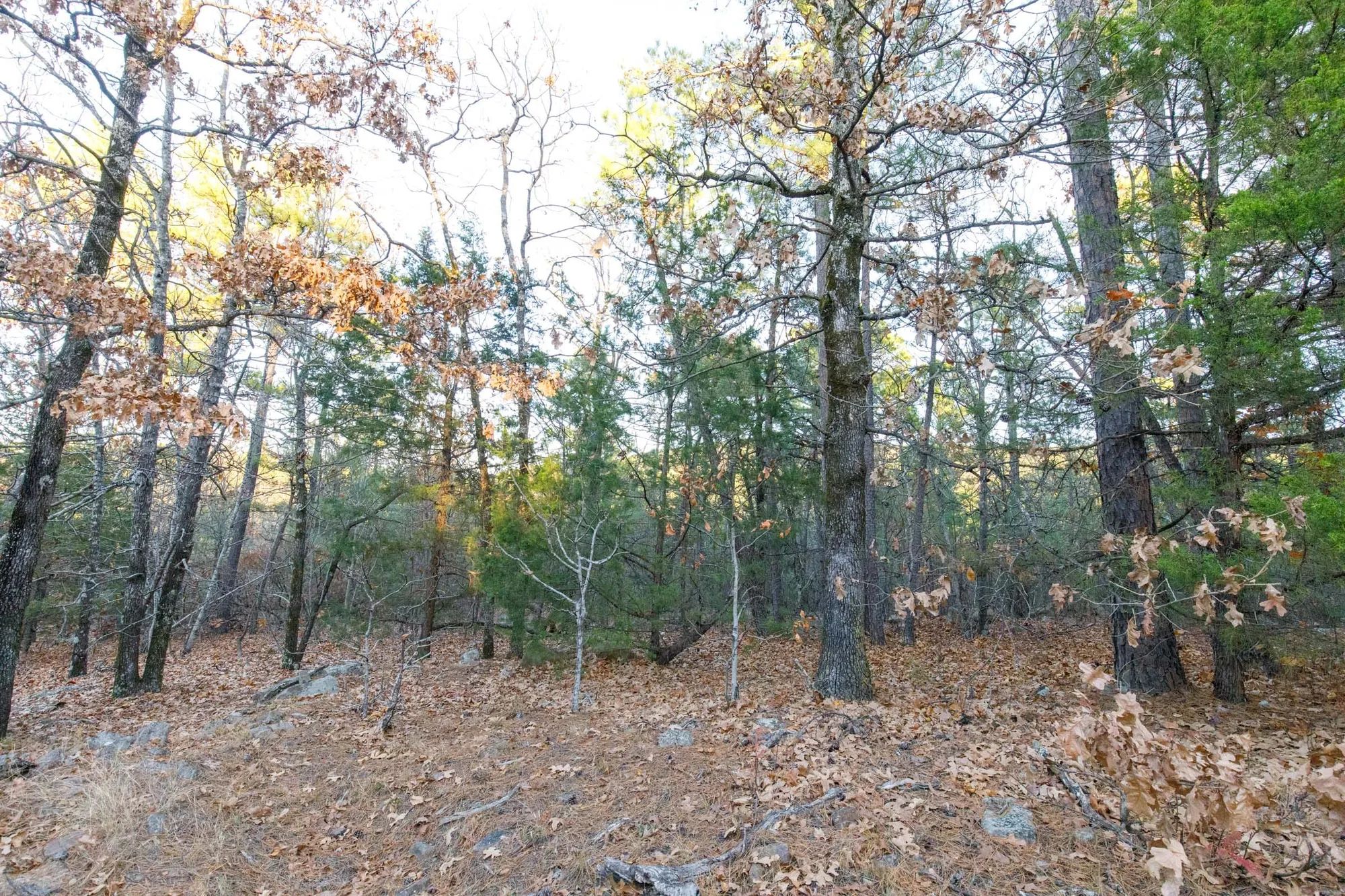 Stone Bridge Phase II Tract 116 in Latimer County, OK