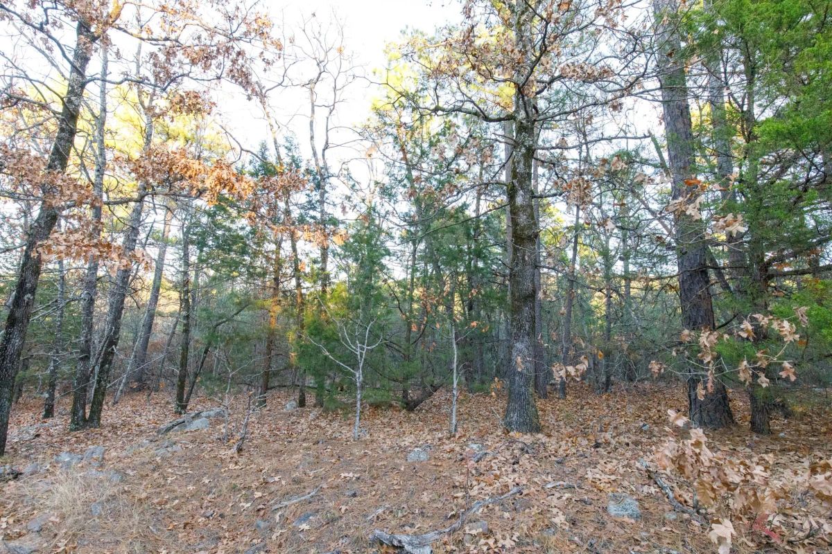 Stone Bridge Phase II Tract 116 - Image 3