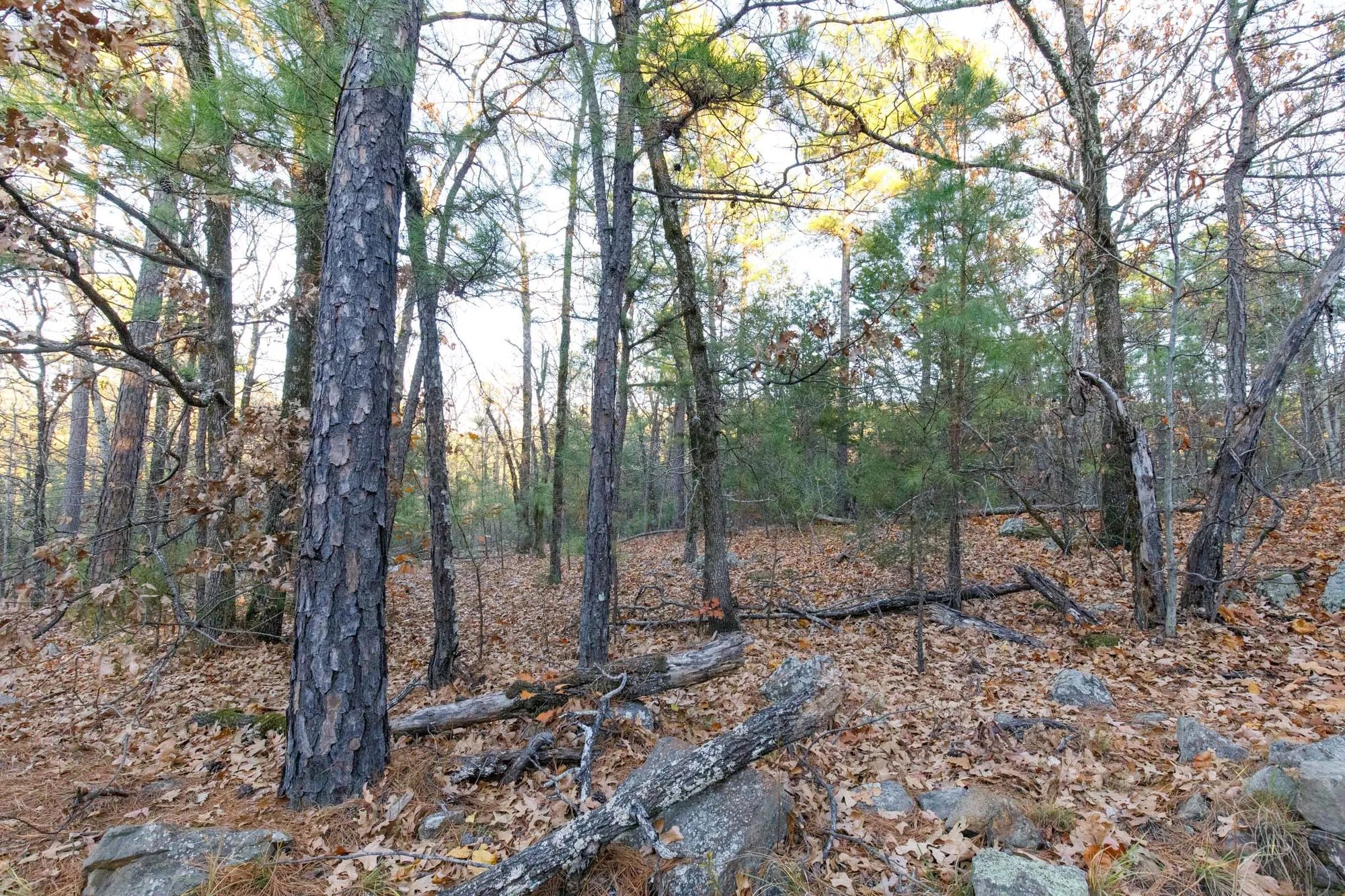 Stone Bridge Phase II Tract 116 in Latimer County, OK
