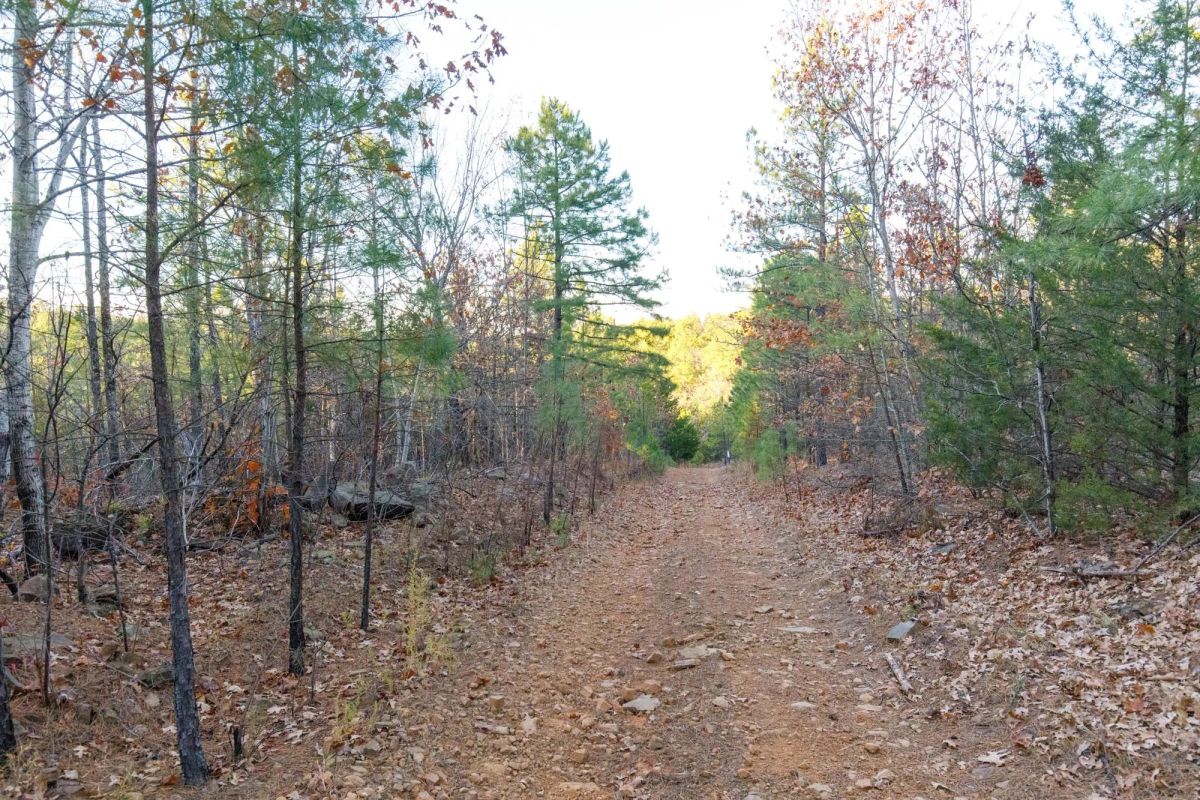 Decorative background for Stone Bridge Phase II Tract 116 image 5