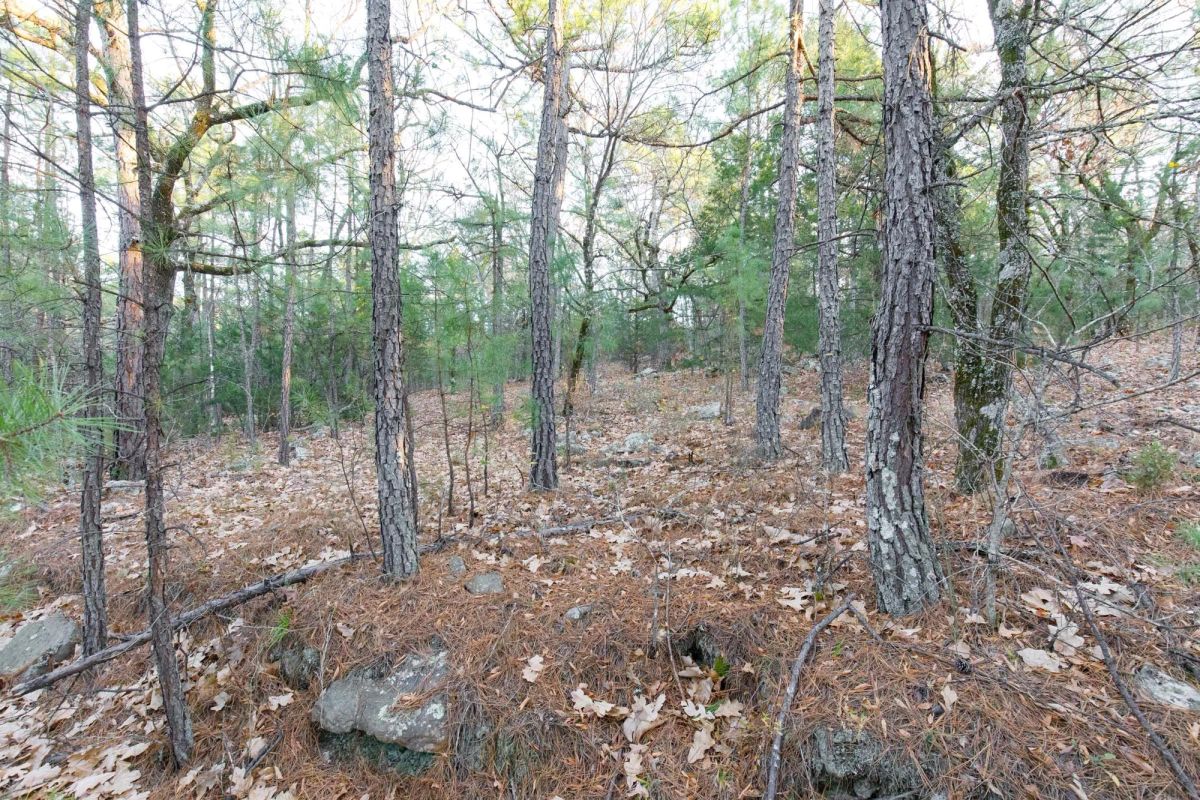 Decorative background for Stone Bridge Phase II Tract 116 image 6
