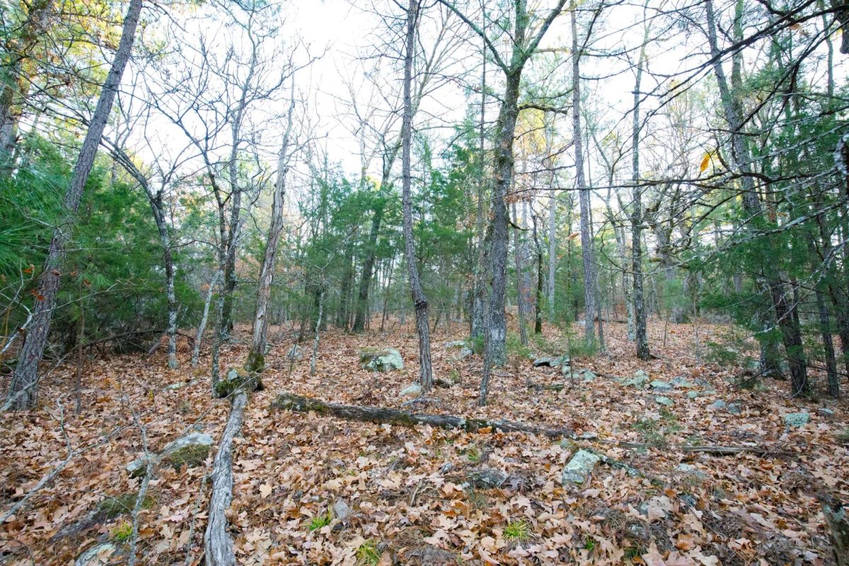 Decorative background for Stone Bridge Phase II Tract 116 image 7