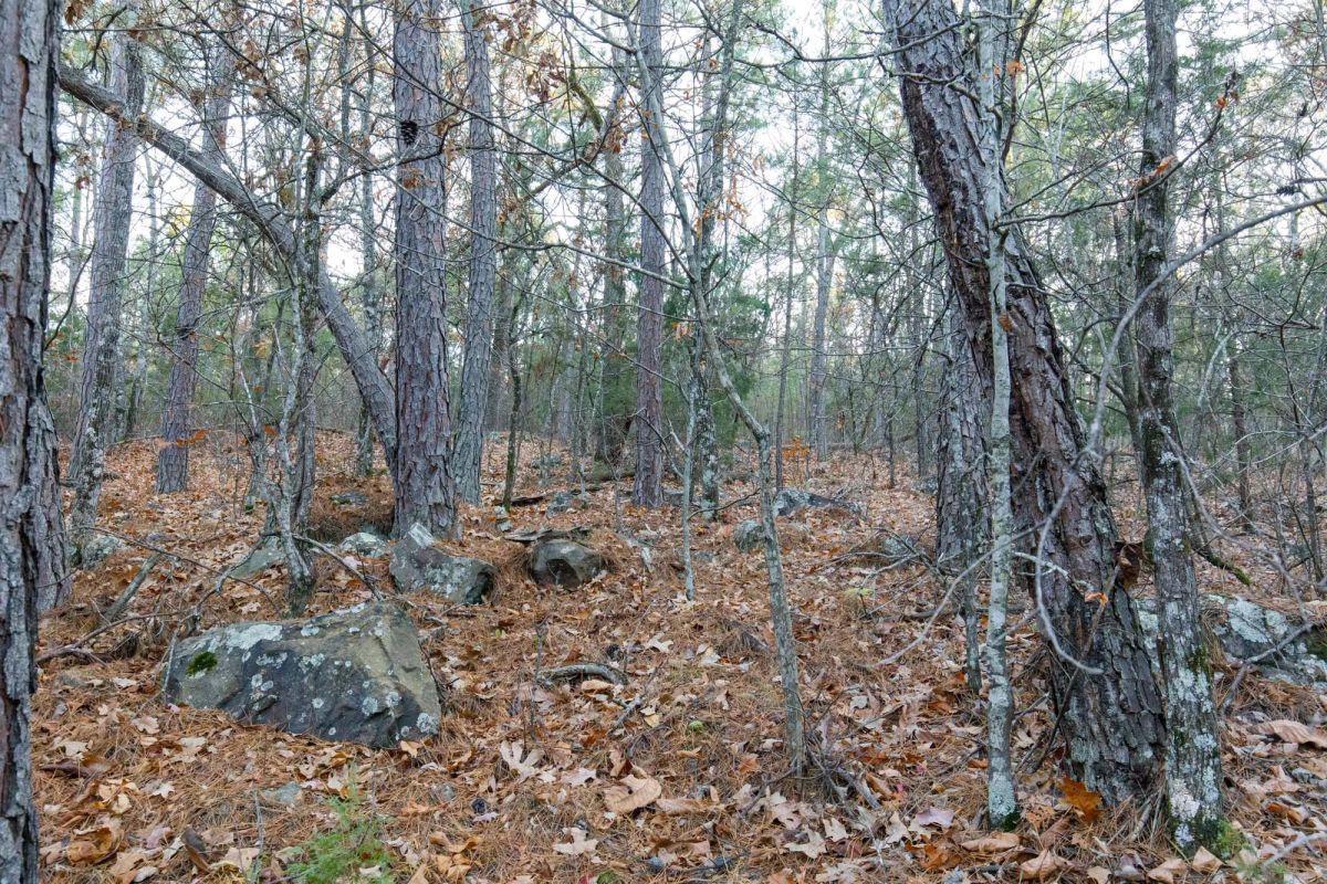 Decorative background for Stone Bridge Phase II Tract 116 image 8