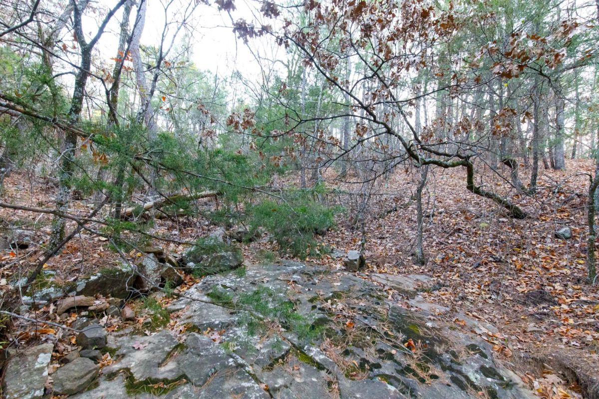 Decorative background for Stone Bridge Phase II Tract 116 image 9