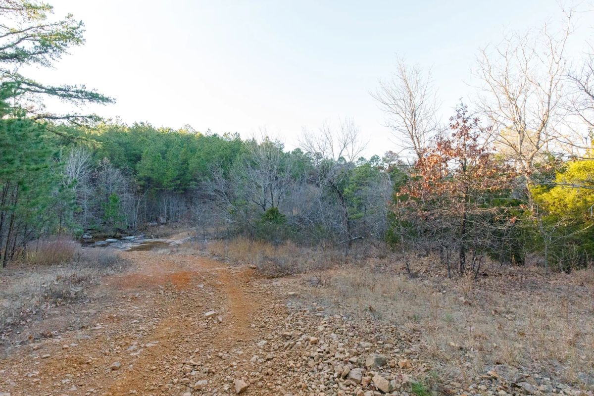 Decorative background for Stone Bridge Phase II Tract 116 image 10