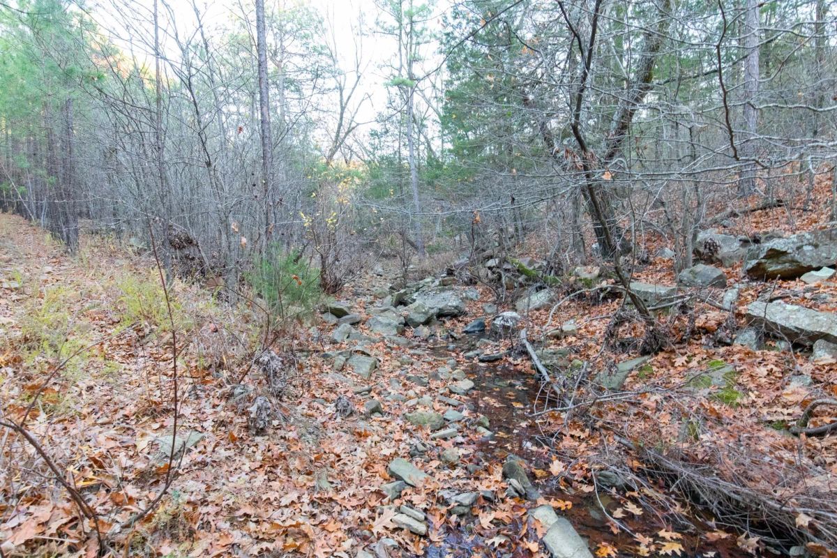 Decorative background for Stone Bridge Phase II Tract 116 image 11