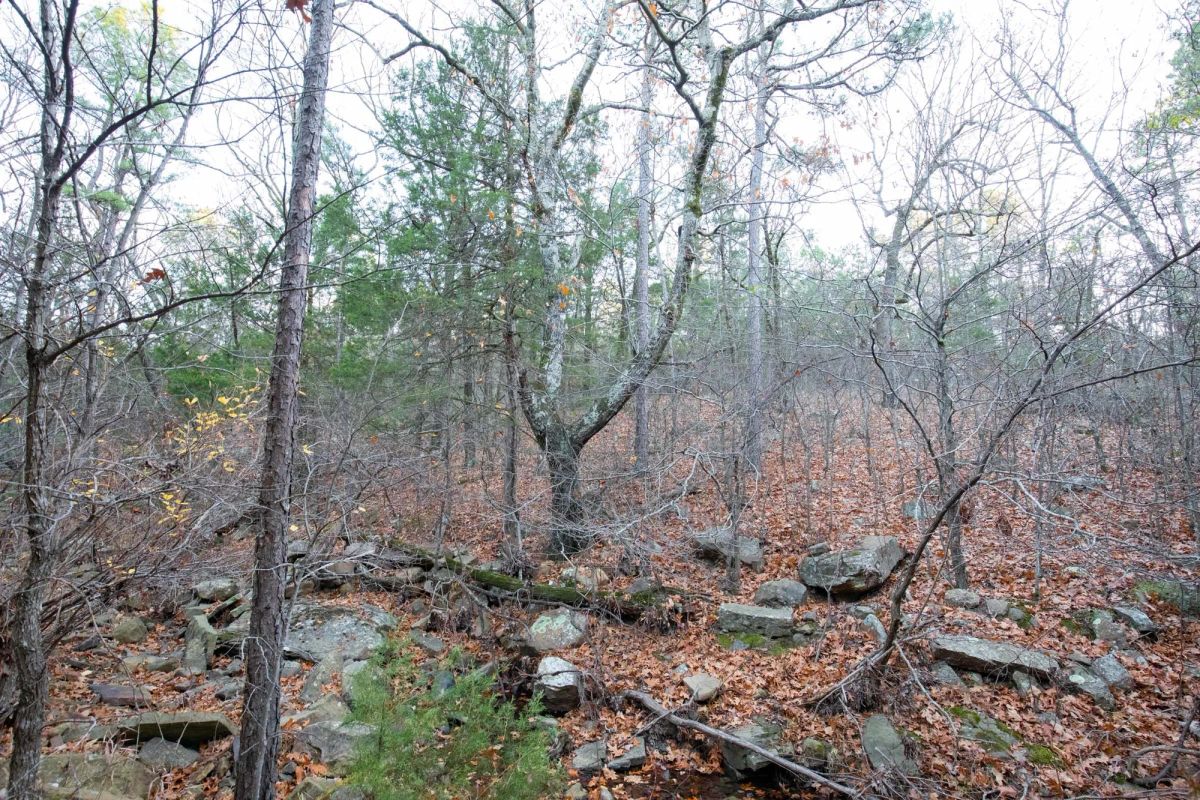 Decorative background for Stone Bridge Phase II Tract 116 image 12