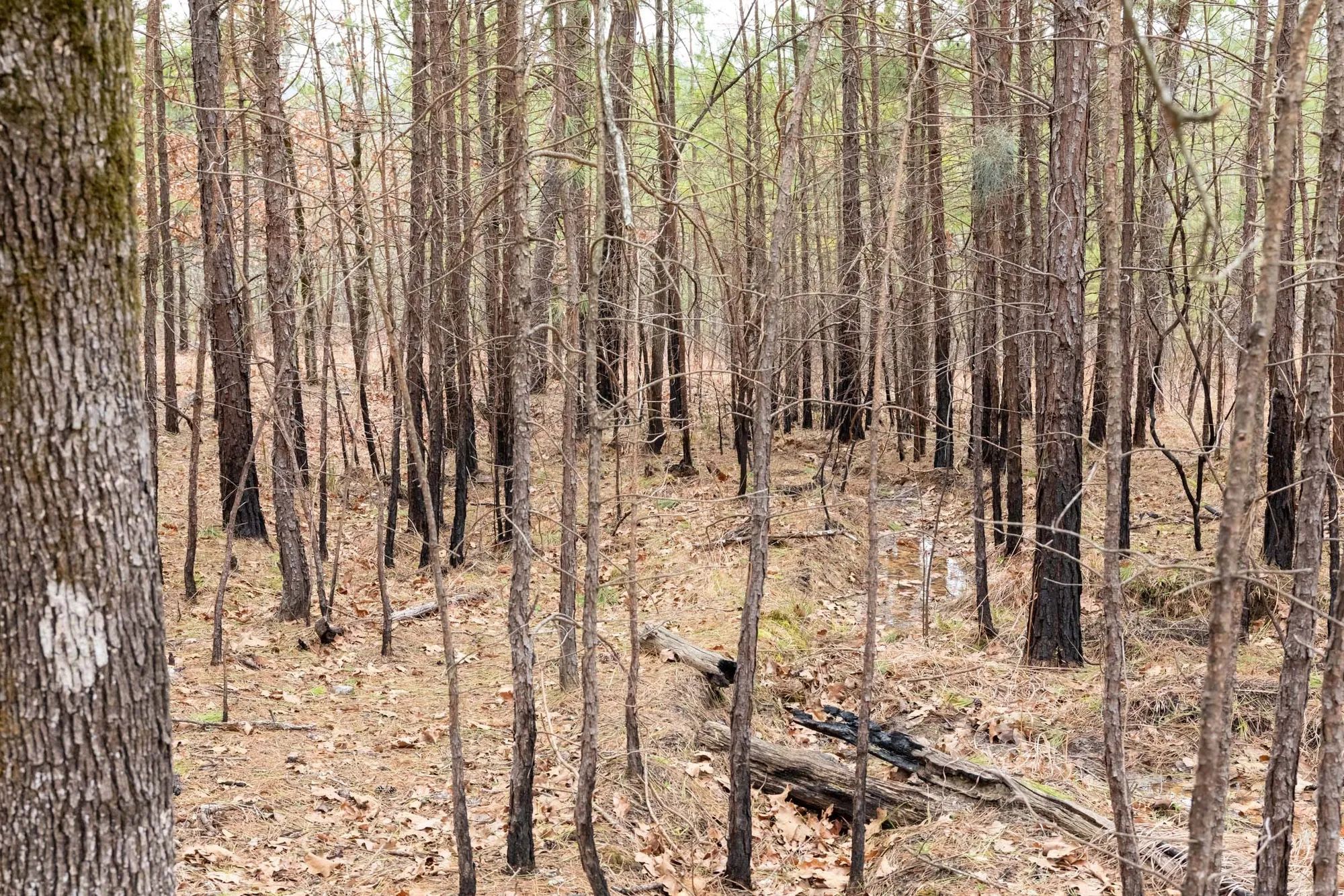 Stone Bridge Phase III Tract 199 in Latimer County, OK