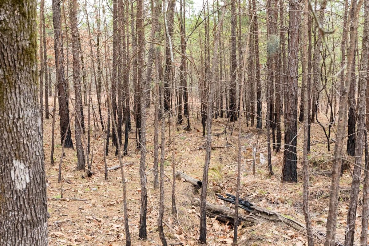 Stone Bridge Phase III Tract 199 - Image 4