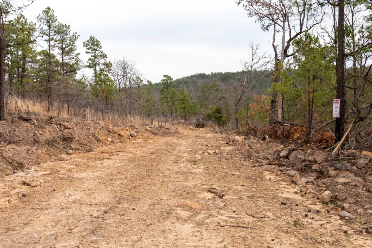 Decorative background for Stone Bridge Phase III Tract 199 image 7