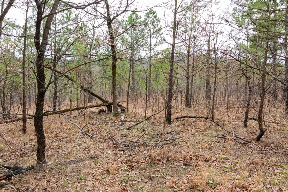 Decorative background for Stone Bridge Phase III Tract 199 image 9