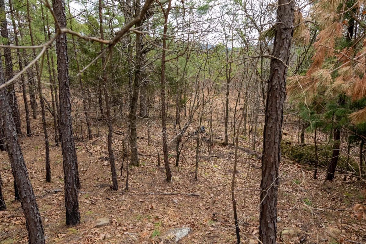 Decorative background for Stone Bridge Phase III Tract 199 image 10