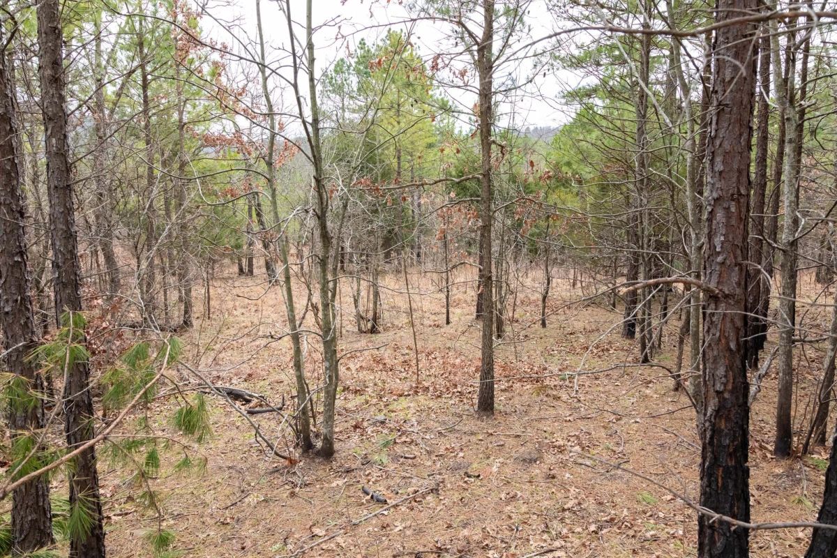 Decorative background for Stone Bridge Phase III Tract 199 image 11