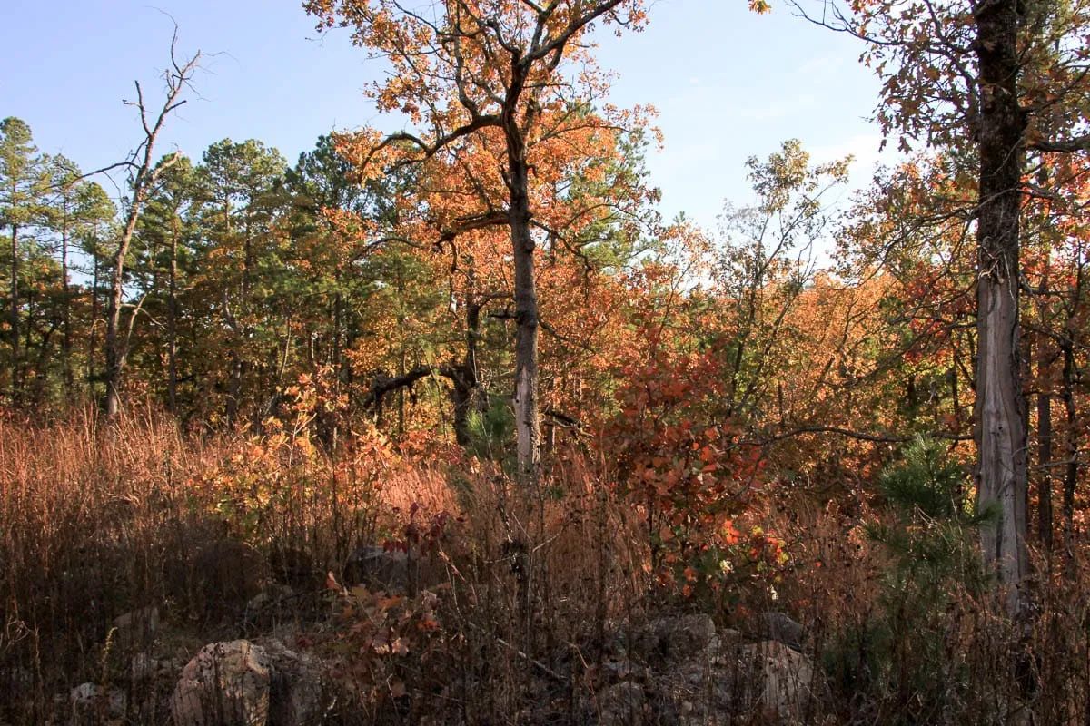 Stone Creek Phase III Tract 19 in Latimer County, OK