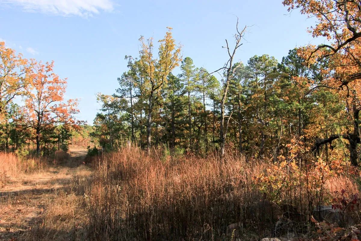 Stone Creek Phase III Tract 19 - Image 2