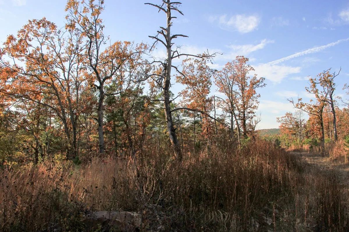 Stone Creek Phase III Tract 19 in Latimer County, OK