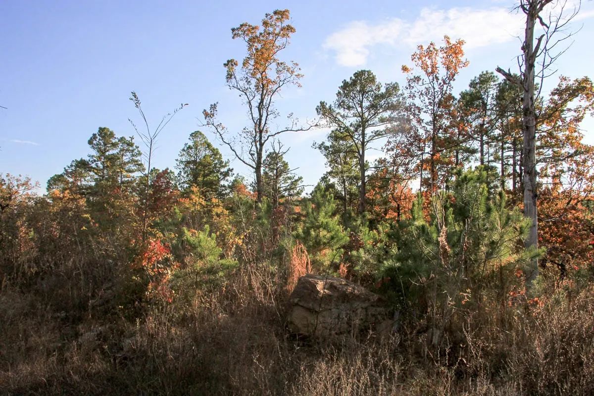 Decorative background for Stone Creek Phase III Tract 19 image 8