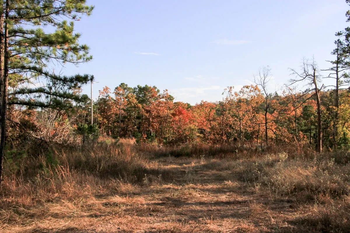 Decorative background for Stone Creek Phase III Tract 19 image 10