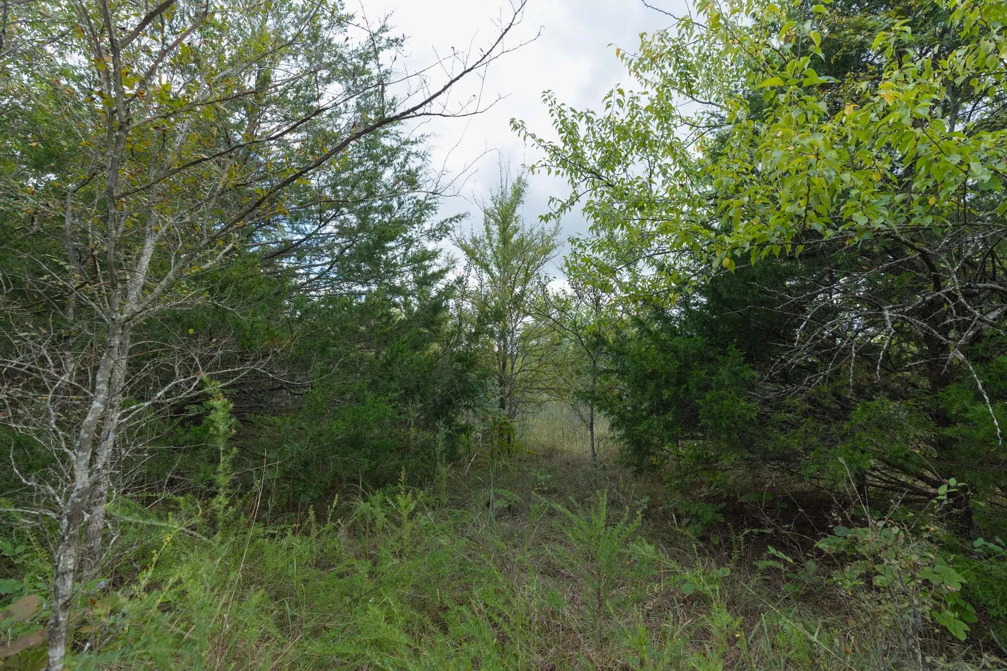 Reserves At Cattail Cove Phase II Tract 97 in Pittsburg County, OK