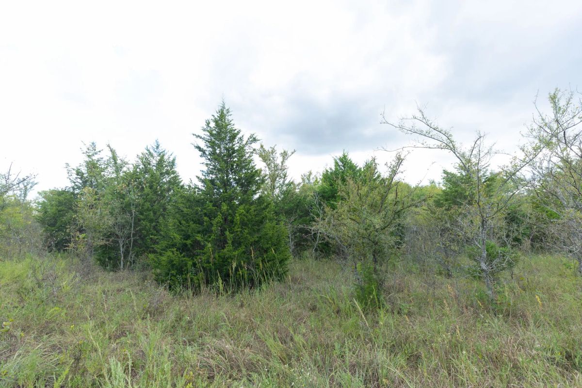 Decorative background for Reserves At Cattail Cove Phase II Tract 97 image 5