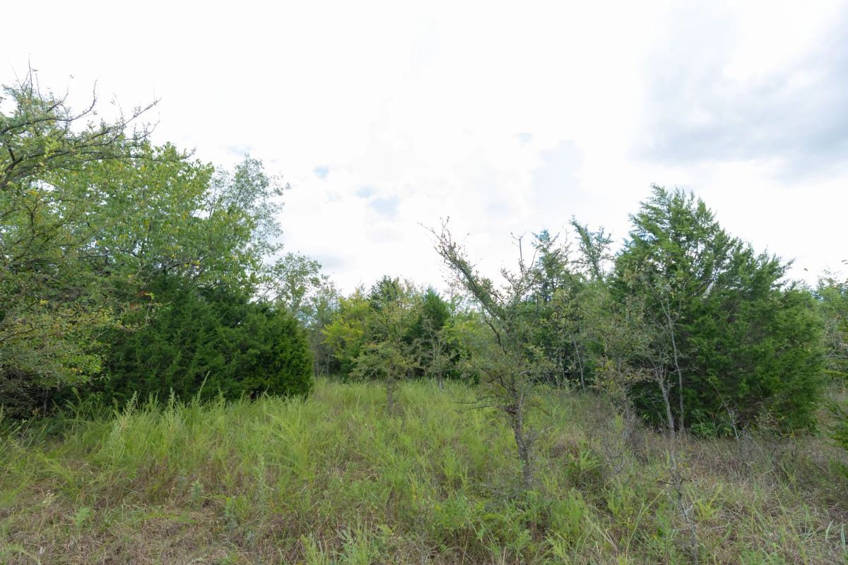 Decorative background for Reserves At Cattail Cove Phase II Tract 97 image 6