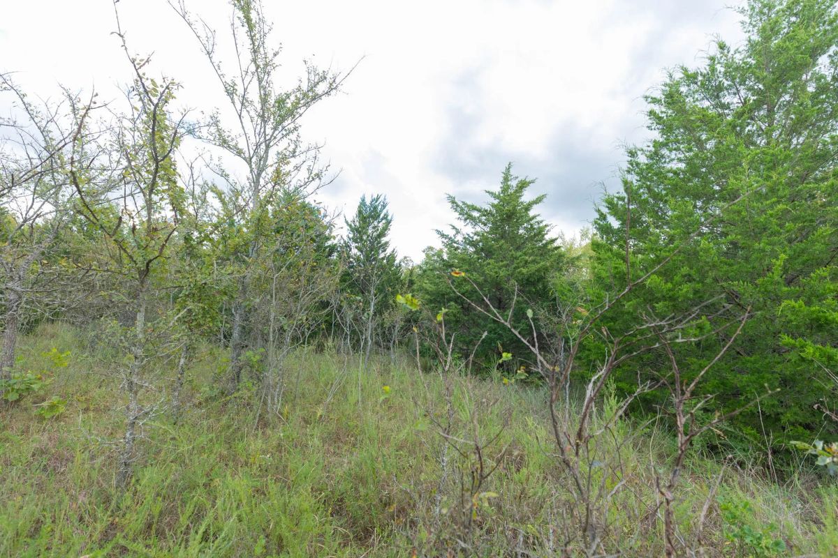 Decorative background for Reserves At Cattail Cove Phase II Tract 97 image 7