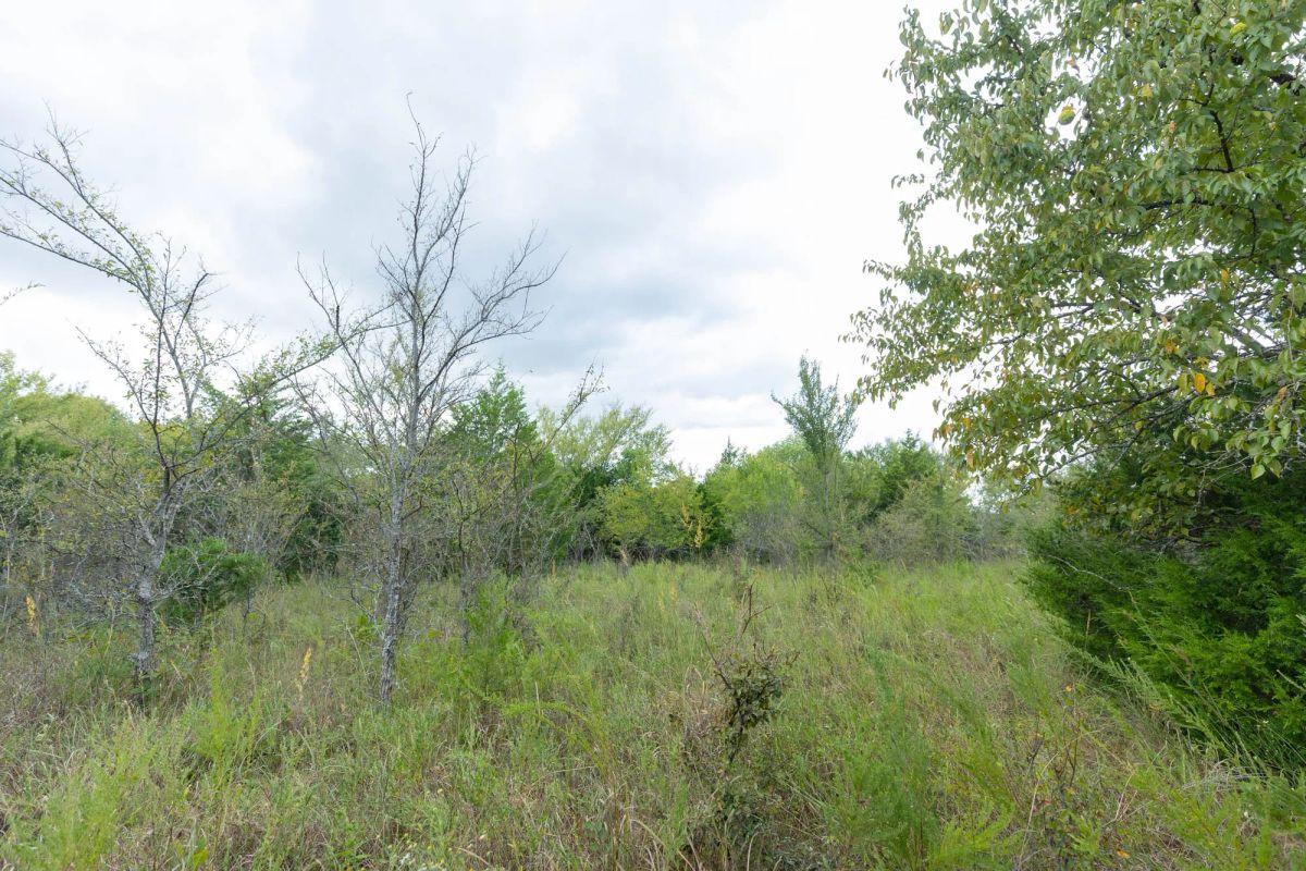 Decorative background for Reserves At Cattail Cove Phase II Tract 97 image 8