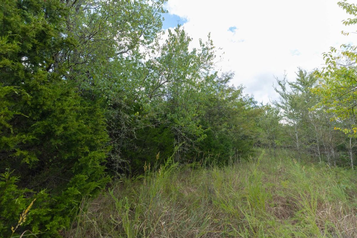 Decorative background for Reserves At Cattail Cove Phase II Tract 97 image 13