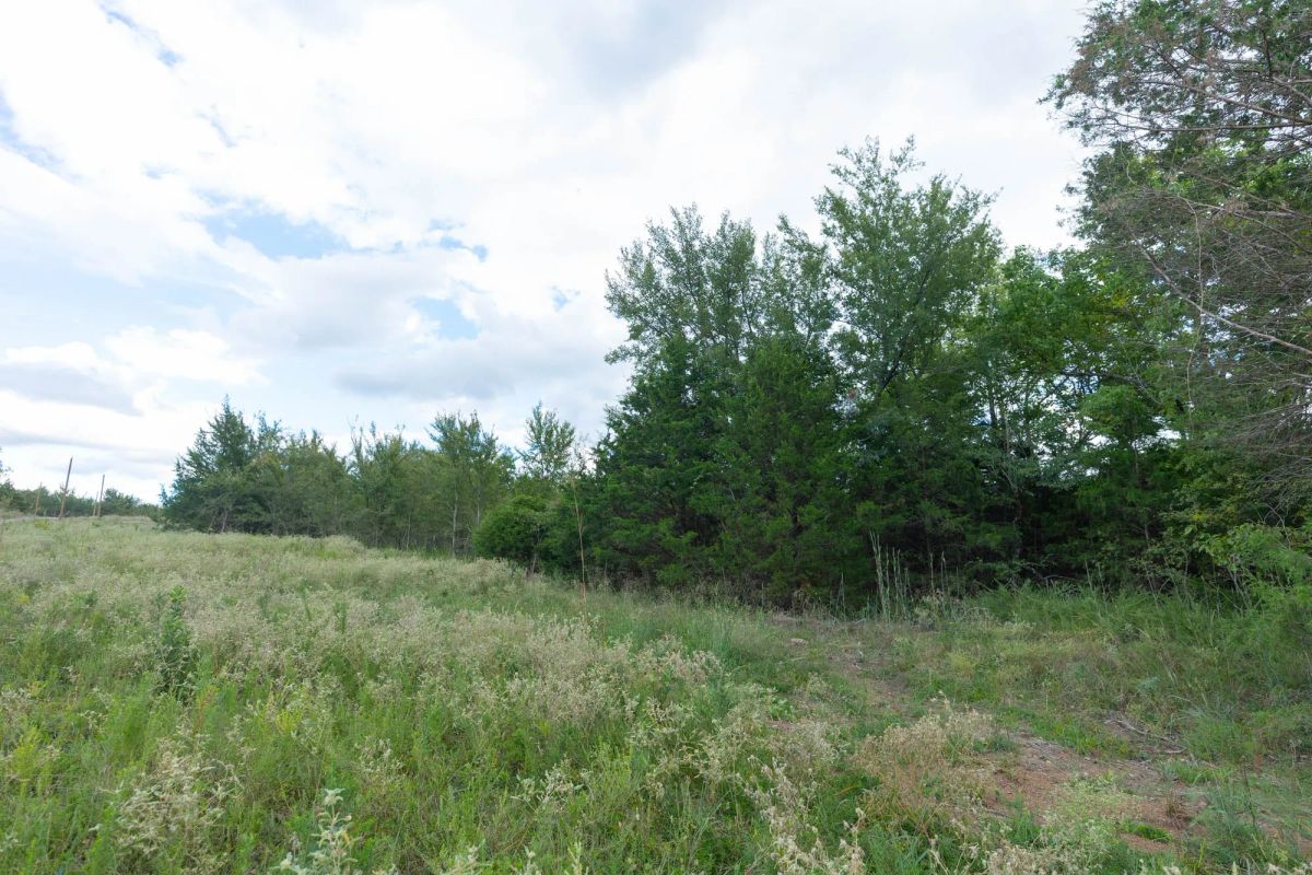 Decorative background for Reserves At Cattail Cove Phase II Tract 97 image 14