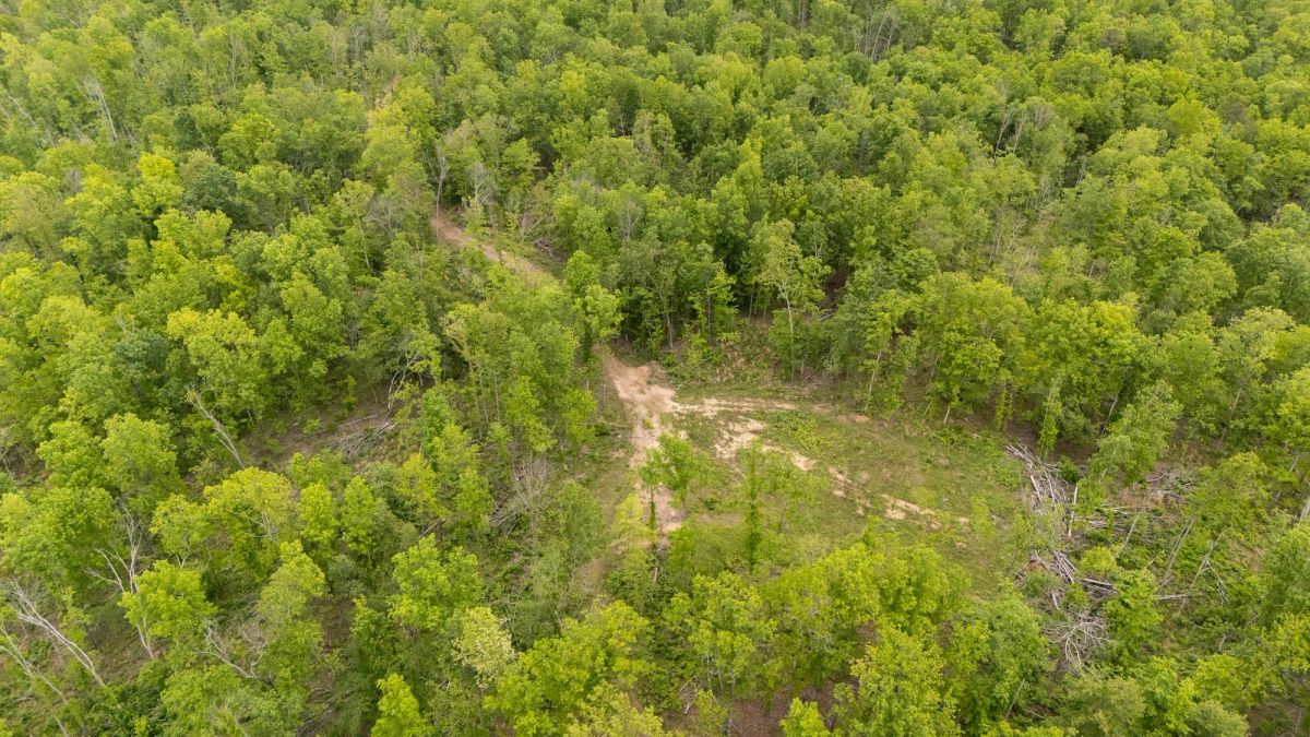 Decorative background for Stardust Estates Tract 19 image 8