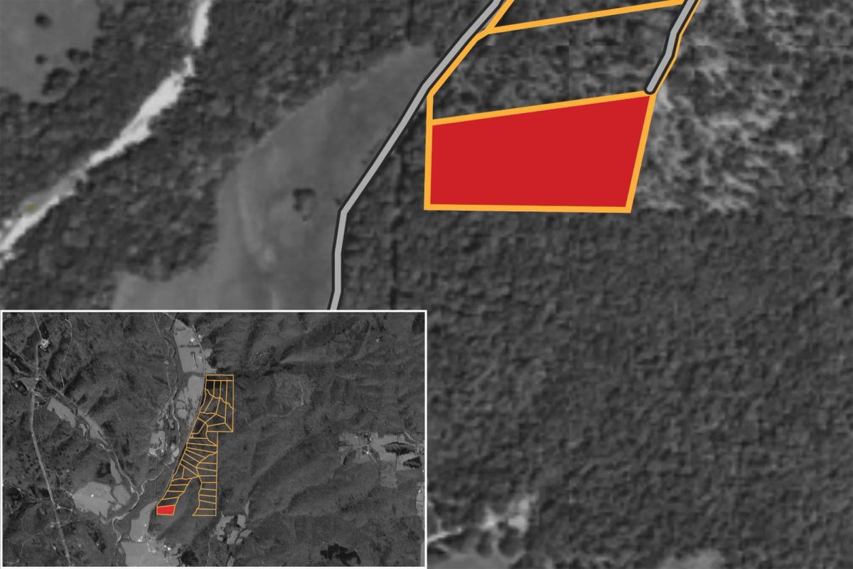 Decorative background for Stardust Estates Tract 19 image 9