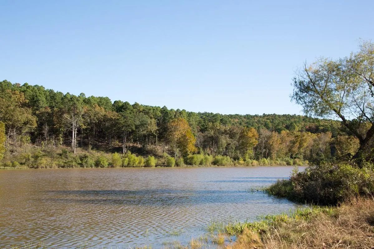Stone Creek Phase I Tract 187 - Image 3