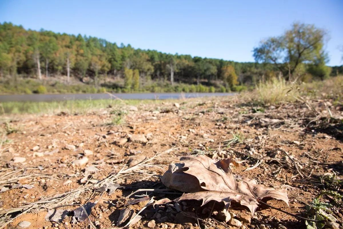 Decorative background for Stone Creek Phase I Tract 187 image 6