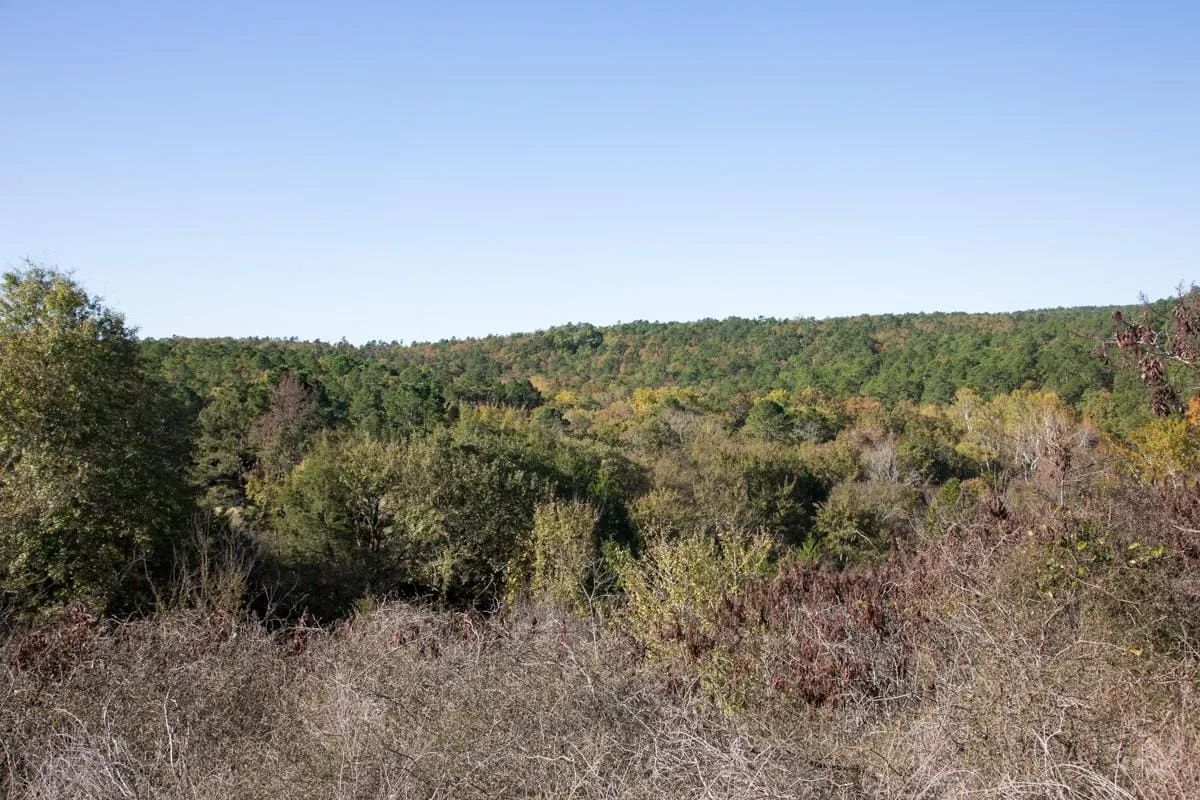 Decorative background for Stone Creek Phase I Tract 187 image 8