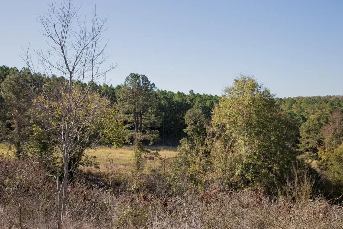Decorative background for Stone Creek Phase I Tract 187 image 9