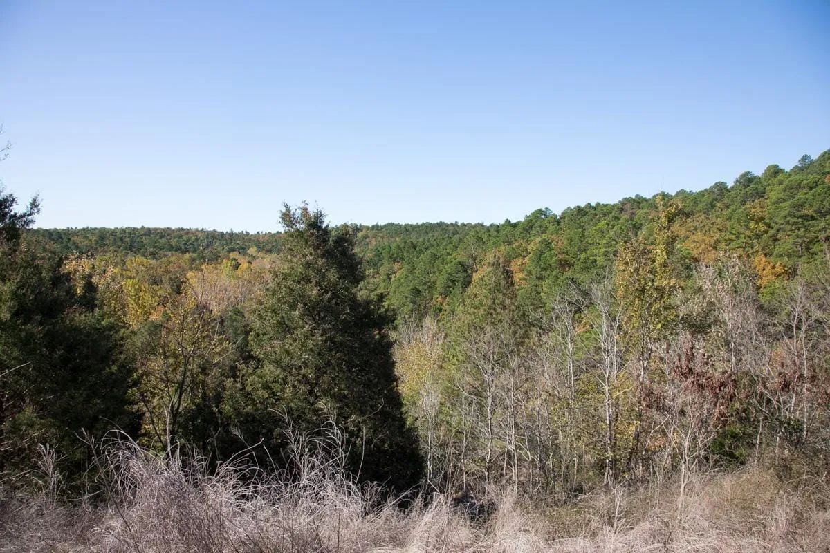 Decorative background for Stone Creek Phase I Tract 187 image 11