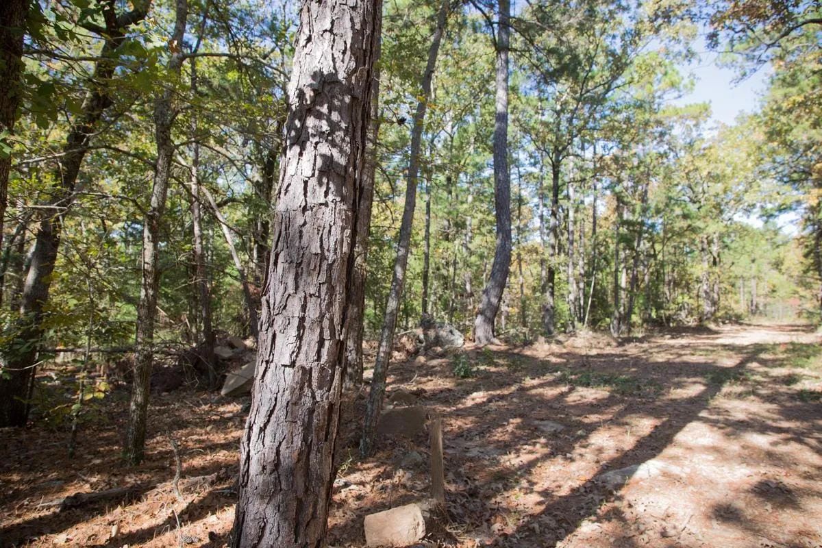 Decorative background for Stone Creek Phase I Tract 187 image 13