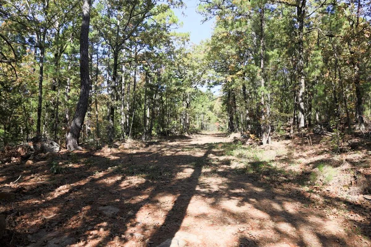 Decorative background for Stone Creek Phase I Tract 187 image 14