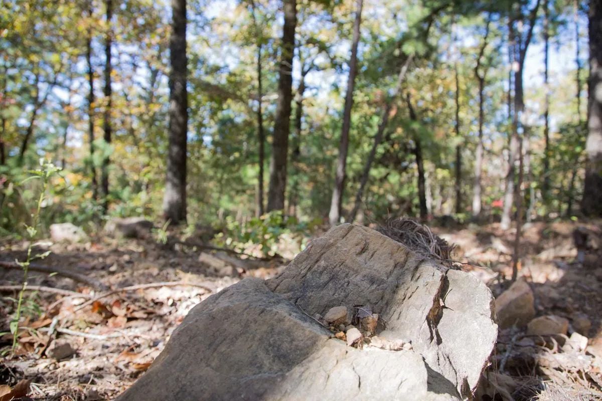 Decorative background for Stone Creek Phase I Tract 187 image 17