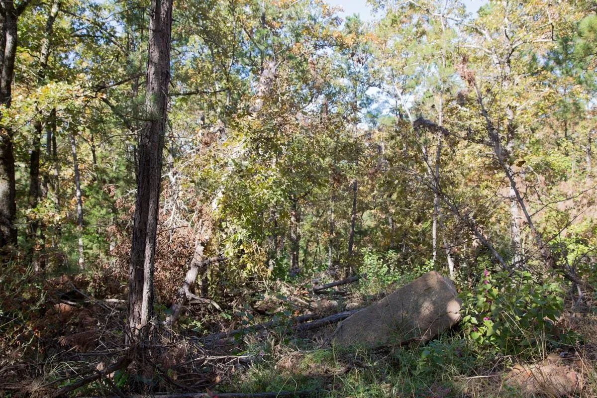 Decorative background for Stone Creek Phase I Tract 187 image 18